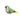 Woods™ Birds