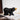 Woods™ Black Bear