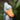 Woods™ Shoebill Stork