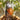 Woods™ Shoebill Stork